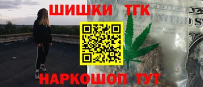тгк Гусев