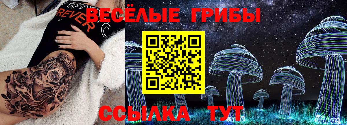 Псилоцибиновые грибы ЛСД Нальчик