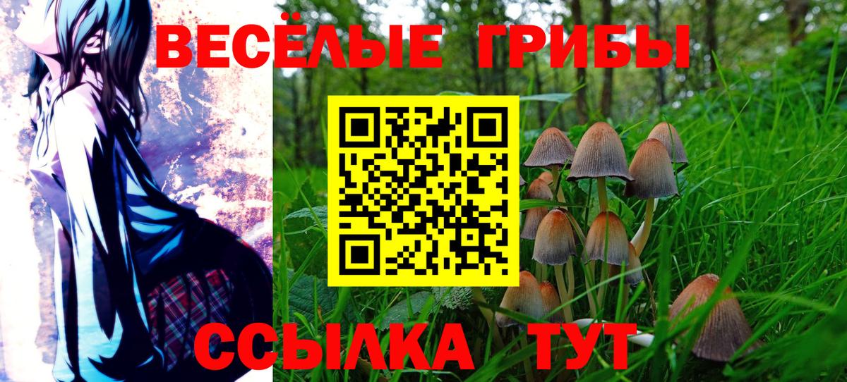 где купить наркоту  Псилоцибиновые грибы GOLDEN TEACHER  Вход с VPN  Нальчик  Галлюциногенные грибы Psilocybine cubensis 